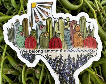Texas, We Belong Among the Bluebonnets stickers