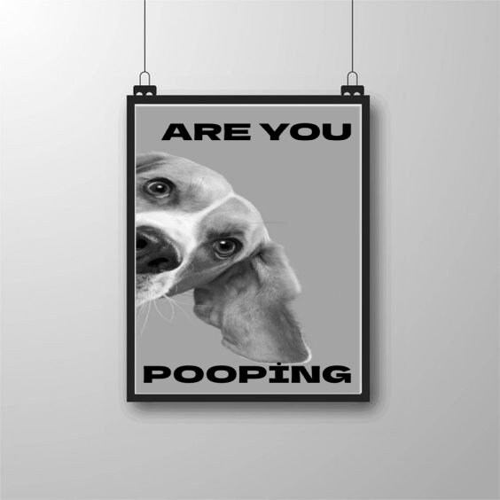 Are You Pooping Dog Black White Printable Bathroom Decor Digital Il Fullxfull.4928887133 7lrw