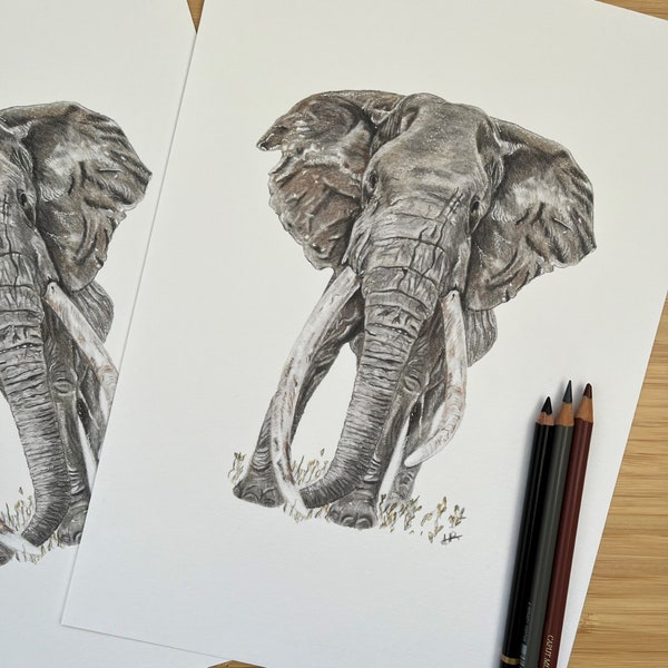 Wild elephant, fine art print