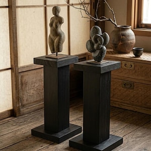 Op de afbeelding: Twee zwarte houten sokkels ondersteunen elk een sculptuur. Eén sokkel houdt een stenen vrouwelijke torso sculptuur vast, de andere een cluster van abstracte vormen. De sokkels staan op een houten vloer.