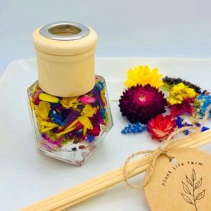 Dried Flower Reed Diffusers Prism Bottle- 1.7oz