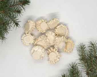 Roe Deer Antler Burrs Natural Raw Burr Pieces 20–30 mm Craft Supplies for Jewelry Making and DIY