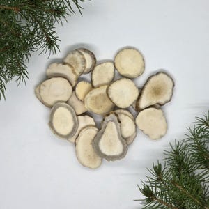 Raw Deer Antler Slices 3 cm | Unpolished 3 mm Thick Shed Antler Discs | Jewelry Making, Craft Supply, Rustic DIY Material