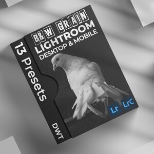 13 Black and White Grain Lightroom presets bundle for mobile & desktop, presets bundle, Kontrast monoton, Portrait, schwarz-weiß, Film