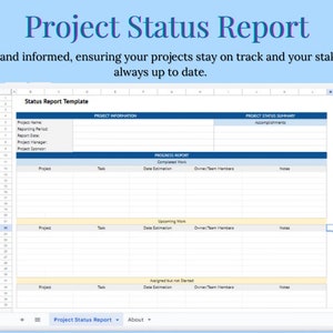 Project Status Report