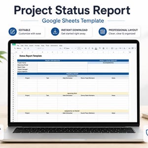 Project Status Report