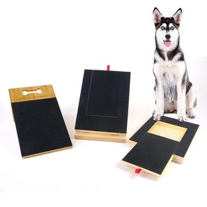Good4Pet Dog Nail Scratch Board-Dog Nail File Dog Paw Nail Scratch Pad Dog Scratch Board Built-in Food Box image 1