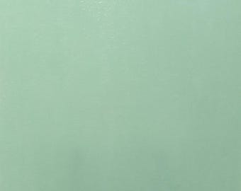 Wissmach COE 96 glass -  Pale Green Opaque