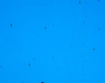 Wissmach COE 96 glass - Sea Blue Transparent