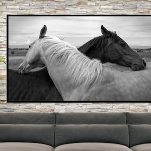 Two Horses Embracing in Friendship Poster, Black and White Horses Canvas Wall Art, Animal Wall Decor, Nature Canvas Print Art, Home Decor