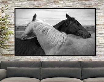 Black and White Horses Canvas Print, Friendship Art