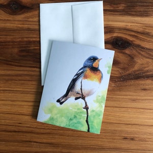 Nord-Parula bunte Vogel-Aquarell-Gruß-Karten