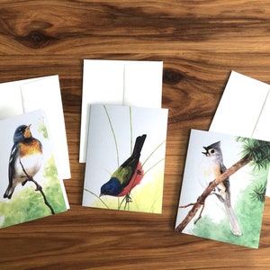 Tarjetas de felicitación con acuarela de pájaros coloridos del jardín de Florida