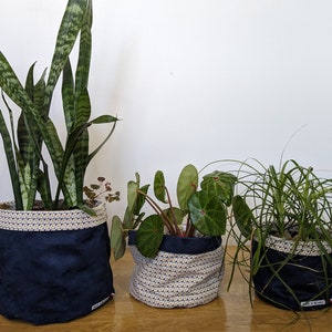 Könnte beinhalten: Drei Topfpflanzen in blauen und weißen gemusterten Stoffgefäßen. Die Pflanzen sind eine Schlangenpflanze, eine Pflanze mit runden Blättern und eine grasartige Pflanze.