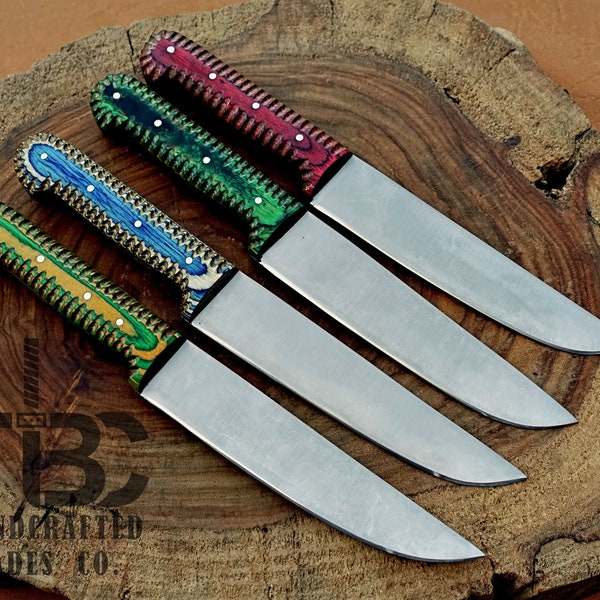 4 Pcs Multi-Color Handle 10" Kitchen Knives Set (Dull Polished) #AASI-04/1D