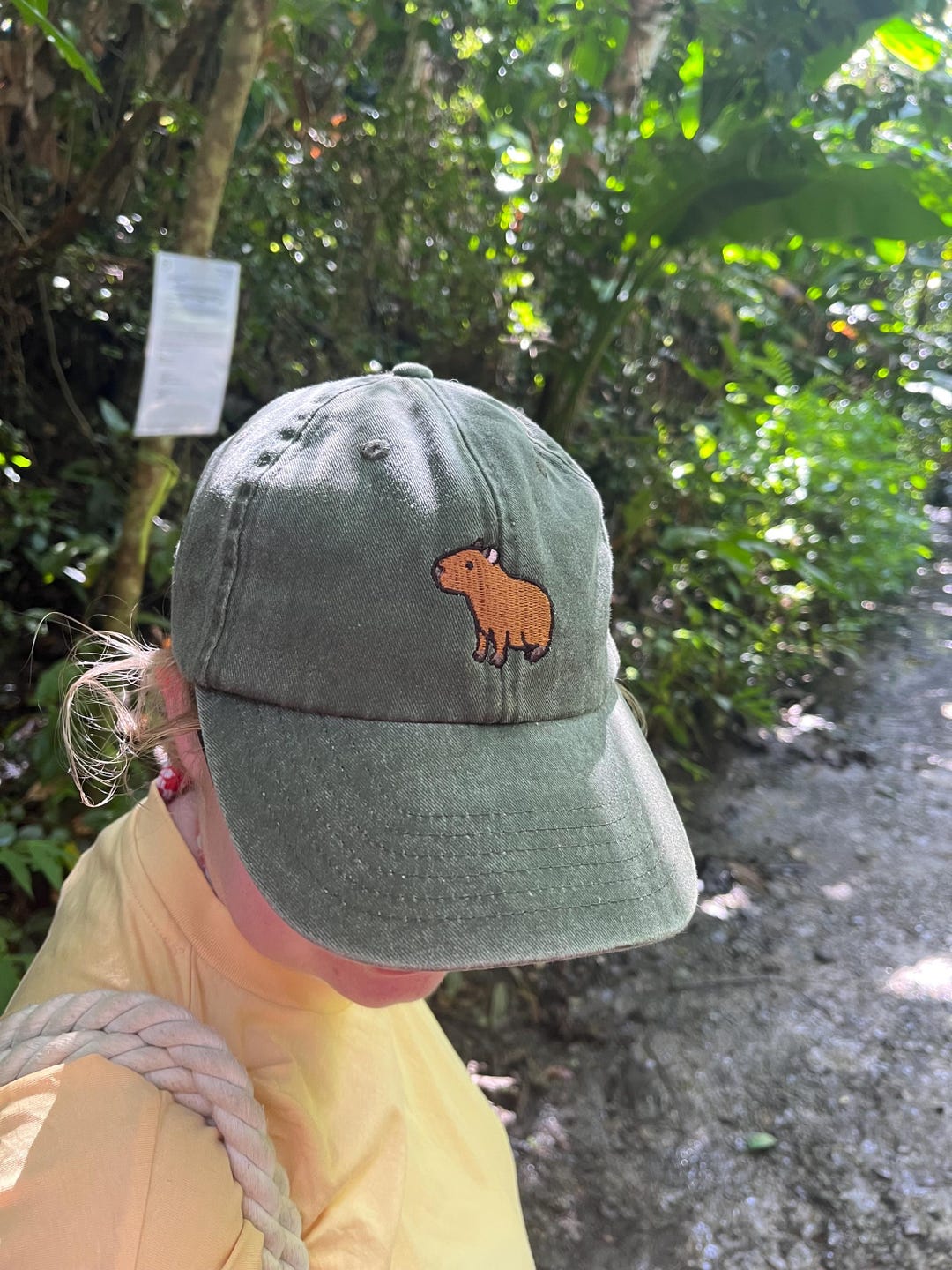 Capybara Embroidered Cap Vintage Olive - Etsy UK