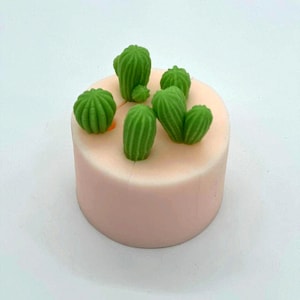 3d flower silicone mold. Silicone mold cacti. Soap mold. Silicone molds for flowers