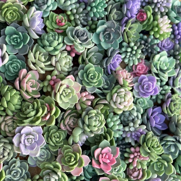 Mix succulent flowers soap