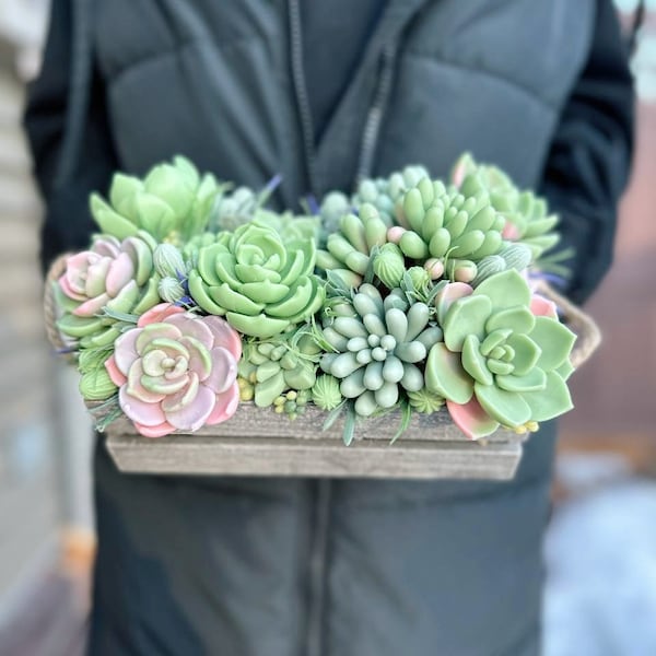 Handmade Soap Succulent Bouquet - Long-lasting Soap Flowers for Home Decor and Mother's Day Gift