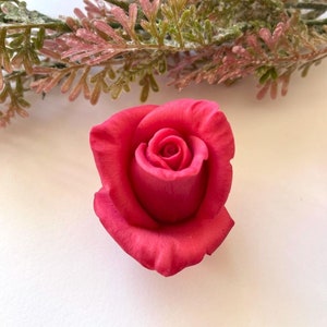 May include: A vibrant, fully bloomed red rose, showcasing delicate petals and a detailed center. The rose is the focal point, with a soft, blurred background and a touch of greenery in the upper corner. The flower is a deep, rich shade of red.