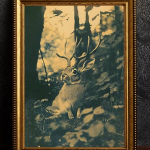 Jackalope en el bosque, foto vintage de liebre, póster de conejo, Dark Academia, decoración gótica del hogar, críptido, criptozoología, arte mural, folclore