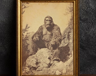 Impresión fotográfica de Pie Grande: Póster de arte vintage de Pie Grande