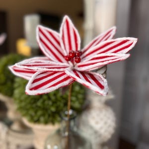 Winter Sweater Poinsettia Steam Red/White 19&quot;, Christmas Sprays, Christmas Tree Decorations, Wreath Attachments, Red and White, Peppermint