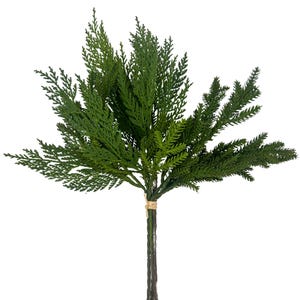 May include: A faux cedar branch featuring multiple stems of dark green, needle-like foliage. The stems are gathered together at the base and secured with a light tan twine wrap, creating a fan-shaped arrangement of evergreen-style greenery.