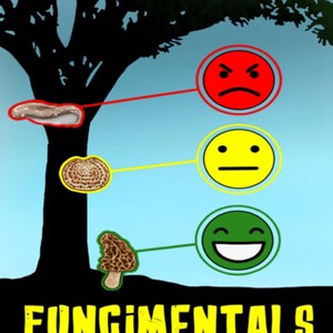 May include: An illustrated guide titled "Fungimentals: Friend or Foe?" shows a tree with different mushroom types and corresponding emoticons. The Ironwood logo is at the top. The image uses a color-coded system to represent the relationship between fungi and trees.