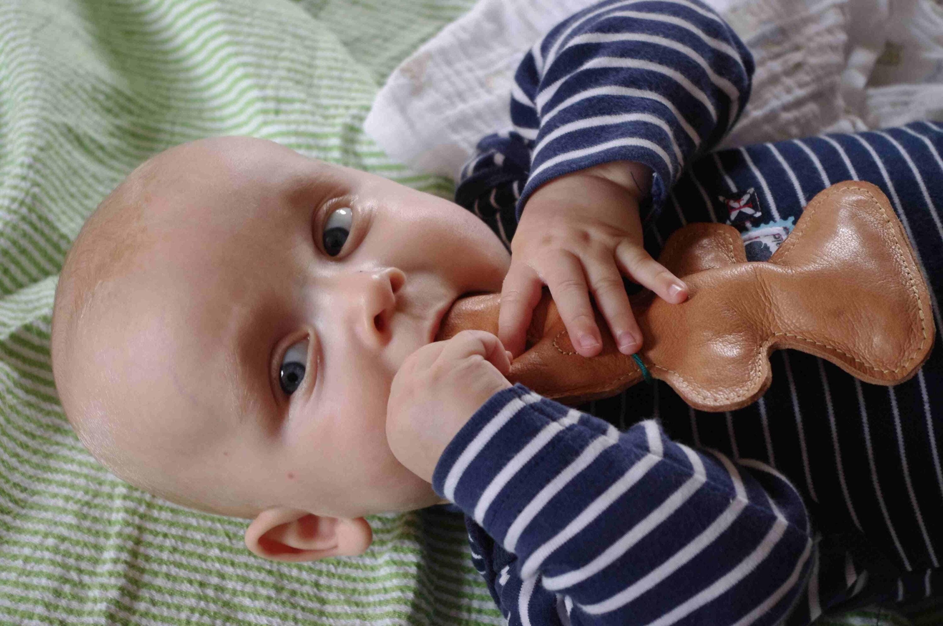 Top baby surname, Singh, reflects New Zealand's changing demographics :  r/newzealand, image size:3000x1992