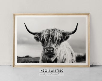 Highland Kuh Kunstdrucke, Bauernhaus Geschenk, Highland Kuh Poster, Wanddekor, Übergroße Kuh Wandkunst, Rustikale Wohnzimmer Wandkunst