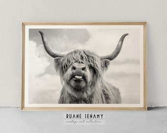 Highland Cow Wall Art, Black and White Buffalo Print, Scottish Highland Cow Wall Art, Scottish Highland Cattle Poster, Farmhouse Decor