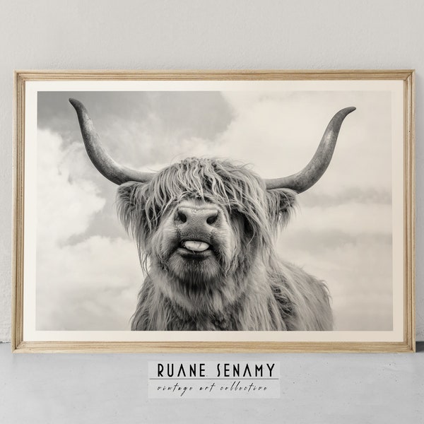 Highland Cow Wall Art, Black and White Buffalo Print, Scottish Highland Cow Wall Art, Scottish Highland Cattle Poster, Farmhouse Decor