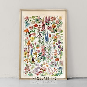 Illustration botanique vintage, Cottagecore Home Decor, Petit Larousse Encyclopédie Fleurs Impression, Impression botanique, Art d’histoire naturelle