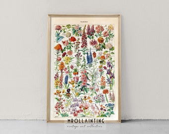 Könnte beinhalten: Ein Vintage-Poster mit botanischen Illustrationen, das eine Vielzahl von bunten Blumen zeigt. Das Poster ist in einem hellen Holzrahmen gerahmt und trägt oben den Titel "Flora".