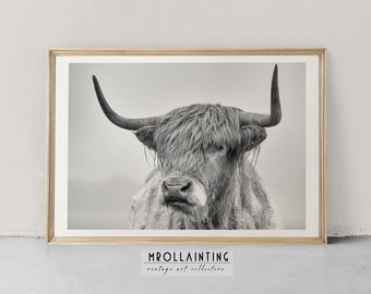 Highland Kuh Wandkunst, Schottische Kuh Wanddekor, Kuh Druck, Highland Kuh Poster, Bauernhaus Wandbehänge, Stier Kunstdrucke