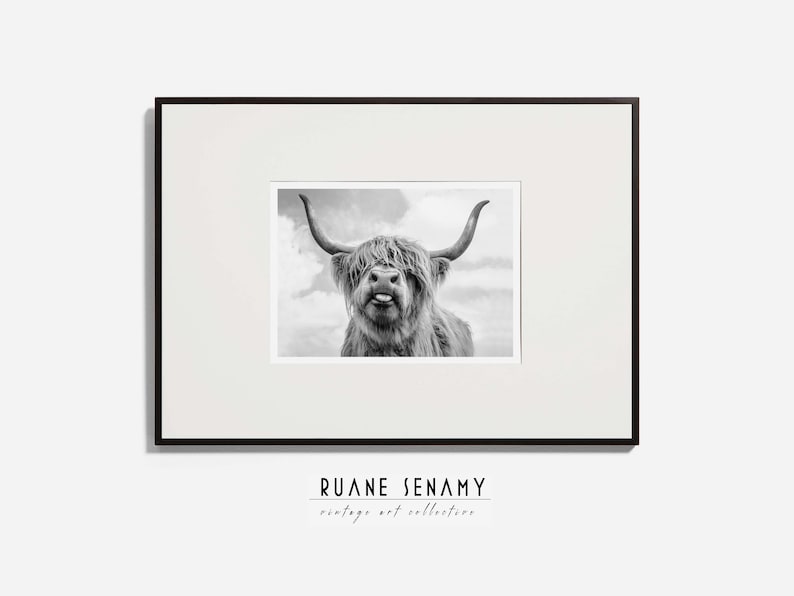 Highland Cow Wall Art Black and White Buffalo Print Scottish Etsy