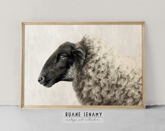 Tableau dessin mouton rustique | Imprimé animal de la ferme | Impression d'art vintage neutre | Décoration murale poster mouton rétro