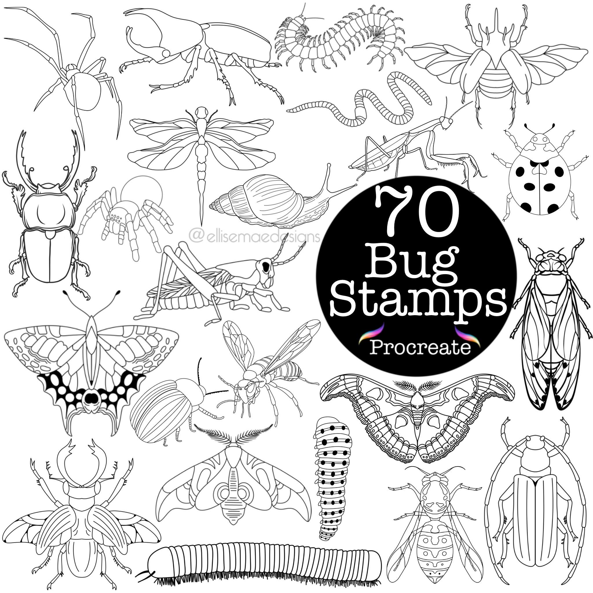Procreate Bug & Insect Stamp Set – 70 Outline Tattoo Brushes: Butterfly, Moth, Beetle, Mantis, Spider & More