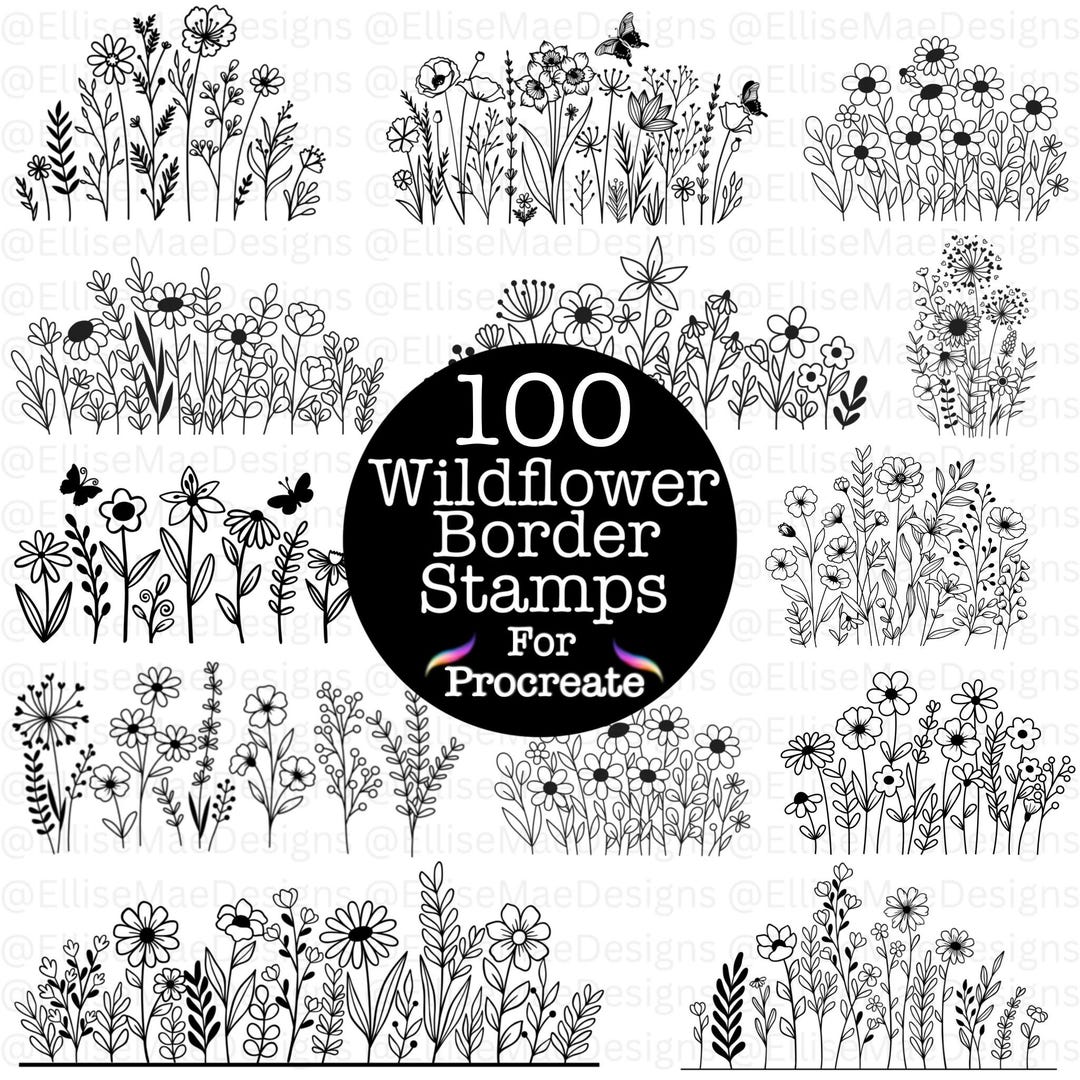 100 Wildflower Border Stamps for Procreate - Floral Outline Brush Set ...