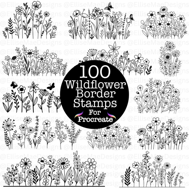 100 Wildflower Border Stamps for Procreate - Floral Outline Brush Set ...