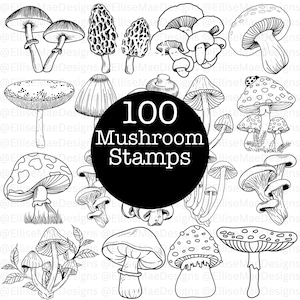 A large 1000+ Procreate Stamp Bundle collage showcasing multiple stamp sets including frames, wreaths, stars, mushrooms, flowers, banners, hearts, doodles, wildflower borders, lockets, fine-line florals, and postage stamps. Black and white digital stamp previews arranged around a bold central title. Ideal for artists, Procreate users, digital planners, and designers looking for a massive stamp collection.
