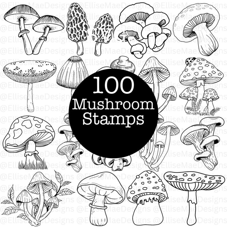 A large 1000+ Procreate Stamp Bundle collage showcasing multiple stamp sets including frames, wreaths, stars, mushrooms, flowers, banners, hearts, doodles, wildflower borders, lockets, fine-line florals, and postage stamps. Black and white digital stamp previews arranged around a bold central title. Ideal for artists, Procreate users, digital planners, and designers looking for a massive stamp collection.