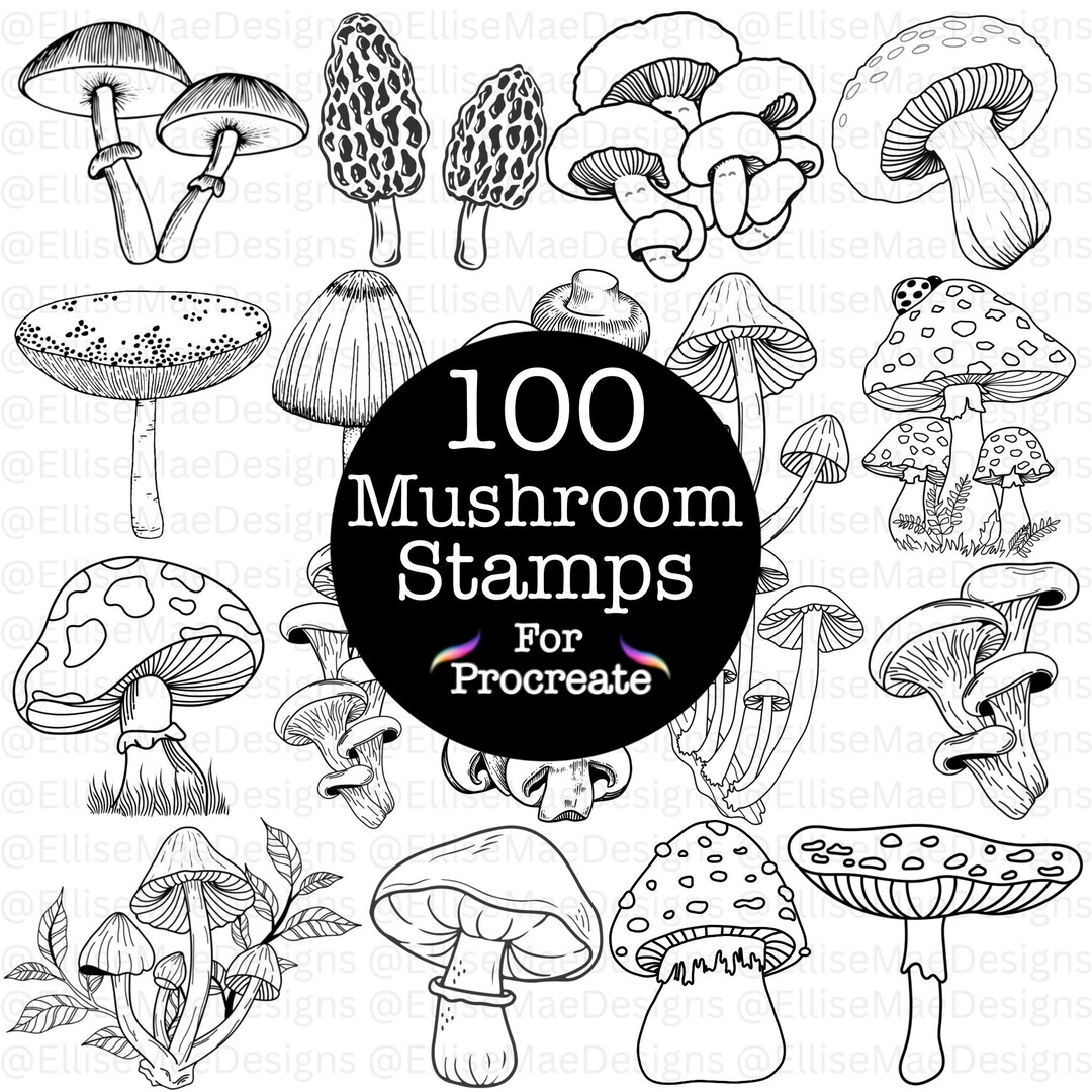 100 Mushroom Procreate Stamps – Botanical Fungi Brushes (digital ...