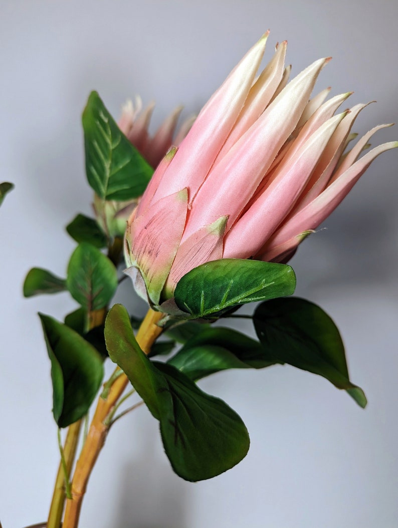 Faux King Protea Stem in Pink, Set of 3 Proteas, Large Size, DIY Floral
