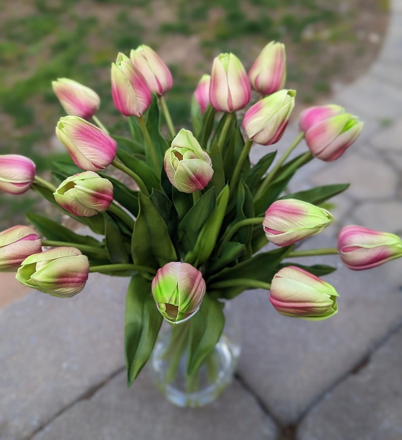 Pink Tulip Real Touch Flowers in Faux Water 19, Tulip Flower