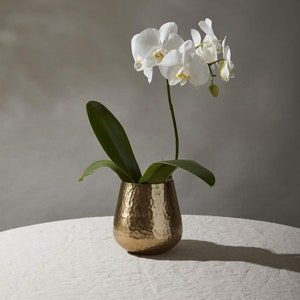 May include: A white orchid plant in a hammered gold vase. The vase has a textured surface and a wide, rounded shape. The orchid has multiple white blooms with yellow centers and green leaves. The arrangement sits on a round, light-colored linen tablecloth.
