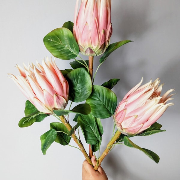Artificial Protea Stem Etsy