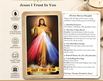 Divine Mercy Chaplet - Jesus I Trust In You - Printed Holy Prayer Card