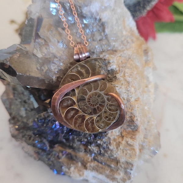 Ammonite Fossil Necklace, Ammonite Pendant, natural fossil jewelry, snail shell pebdant, fossil, Unique unisex jewelry, dinosaur fossil